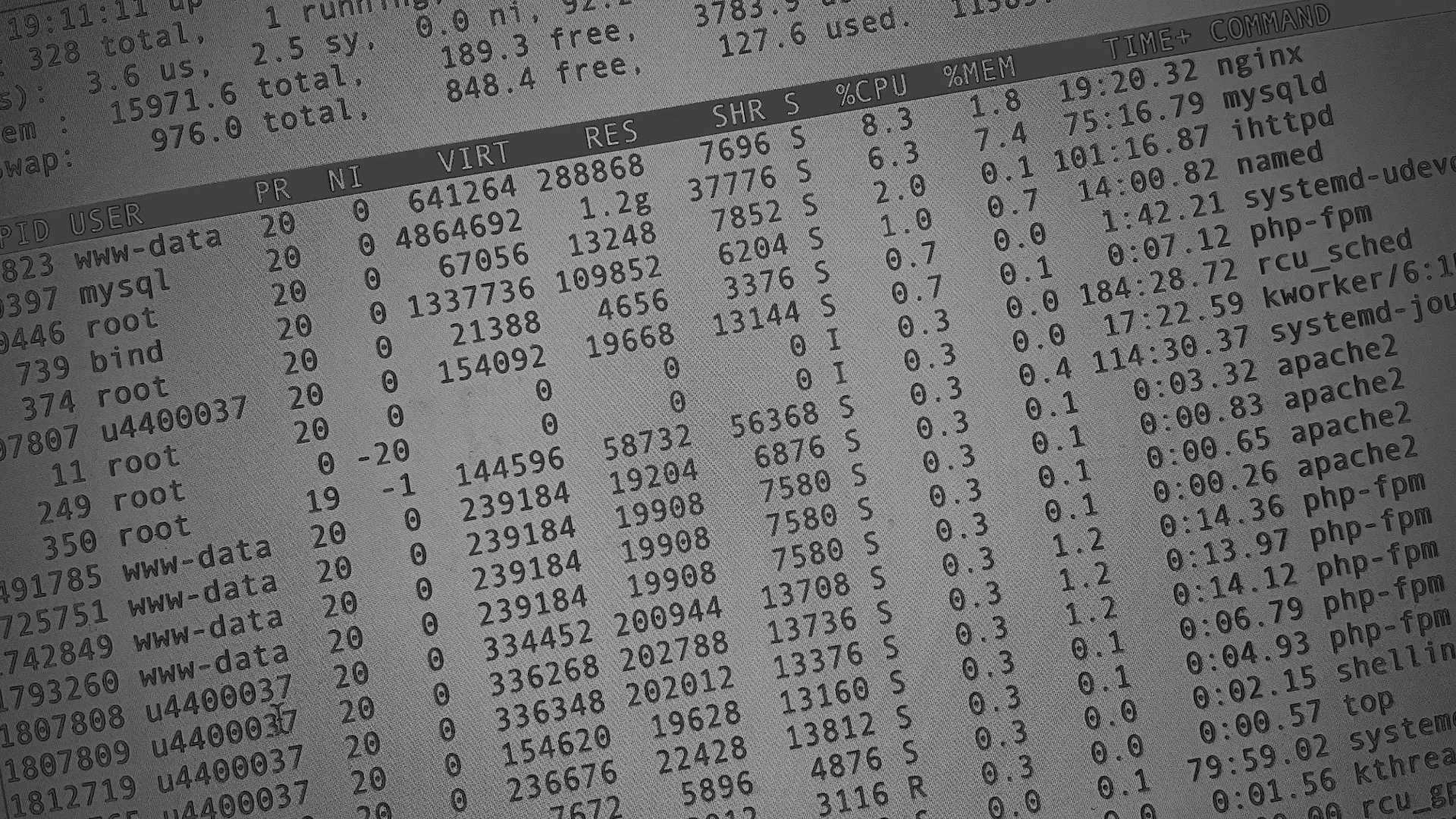 Настройка сервера в Ирбите Настройка сервера в Ирбите